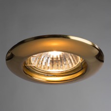 Точечный встраиваемый светильник Arte Lamp PRAKTISCH A1203PL-1GO