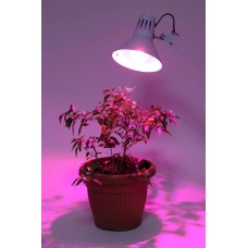 Лампа светодиодная для растений ЭРА E27 12W 1310K прозрачная FITO-12W-RB-E27-K Б0039070